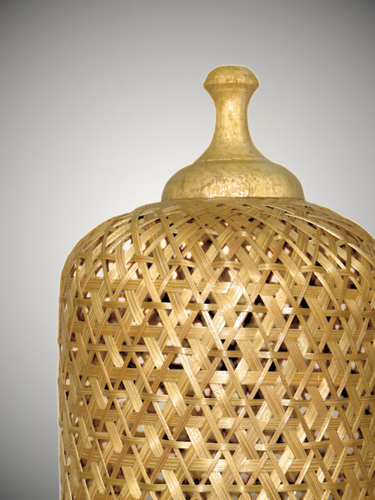 The NaturaBeam Night Lamp