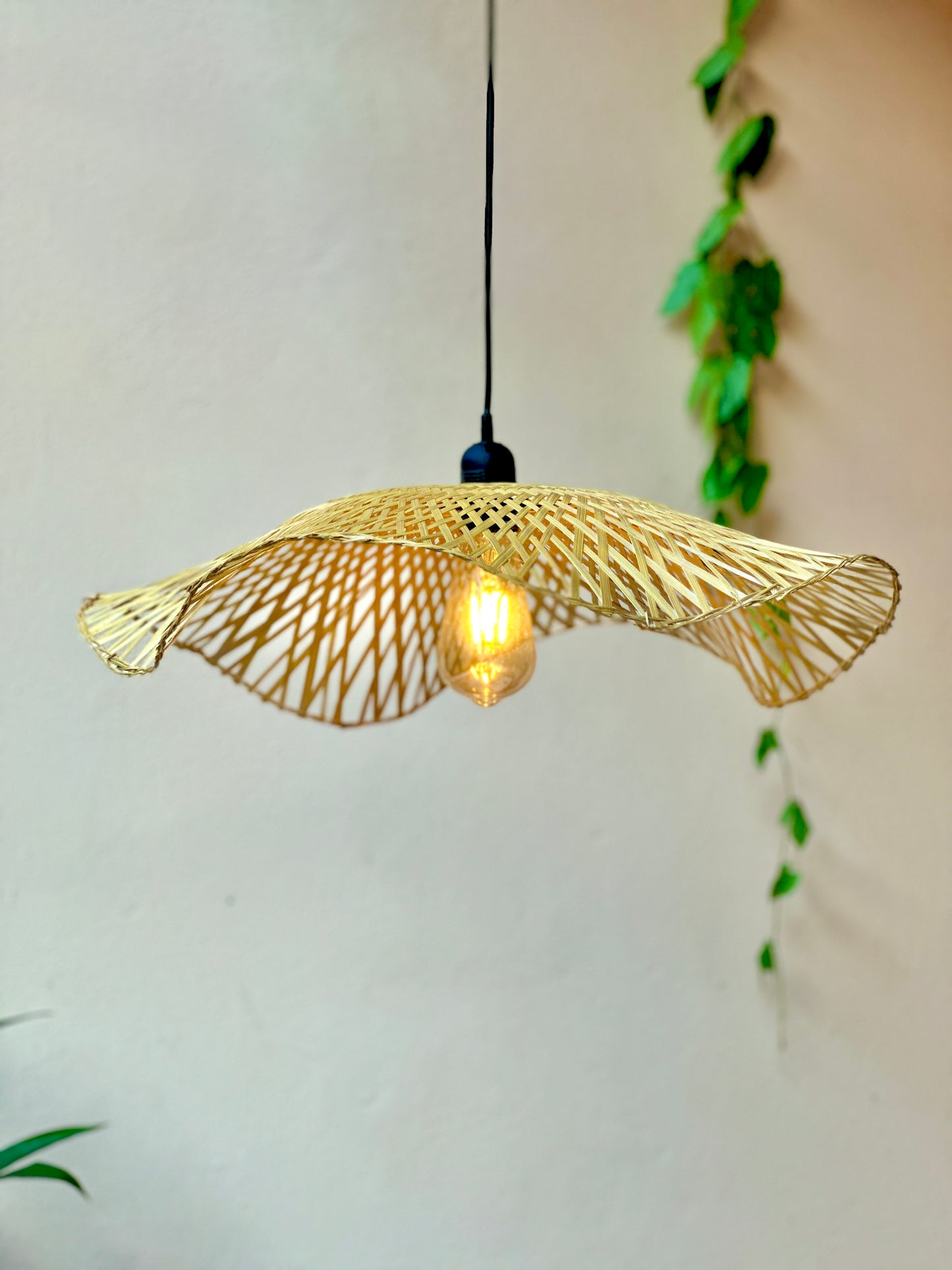 Woven pendant light hanging against a white wall with greenery.
