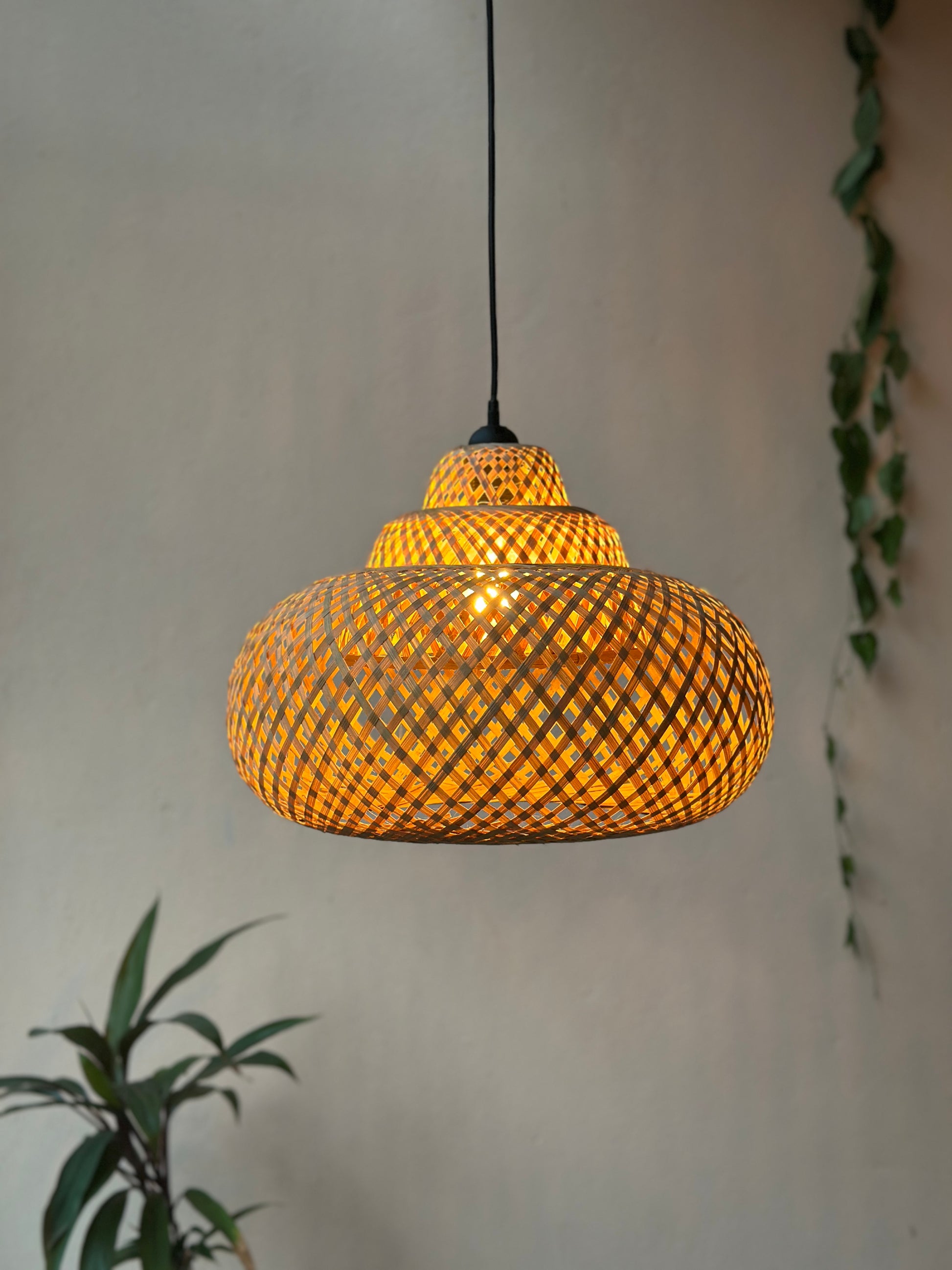 Woven pendant light hanging against a plain wall with a plant in the corner.