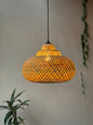 Woven pendant light hanging against a plain wall with a plant in the corner.